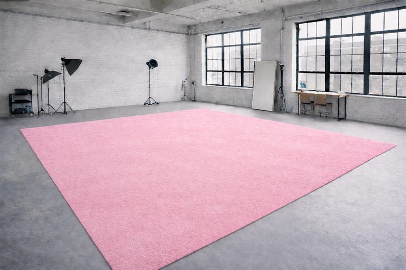 May include: A large, rectangular, light pink rug dominates the center of a studio space. The rug is placed on a concrete floor, and the walls are white brick. Studio lighting equipment is visible in the background, along with large windows.