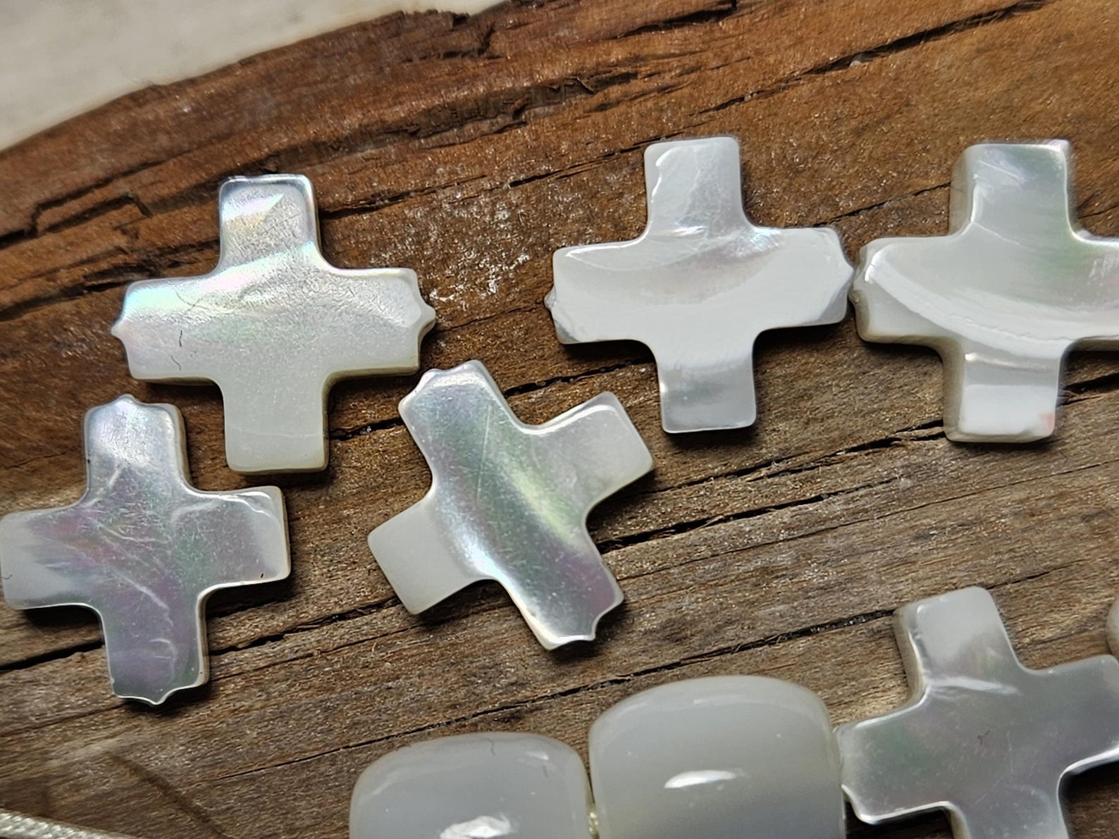 Natural Cross Shell Beads - Etsy