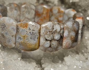 Dazzling & Rare! Sparkling "Glass Flower" Fossil Coral Bangle Bracelet