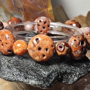 Natural High-Quality Druzy Fossil Coral Jade Bracelet.