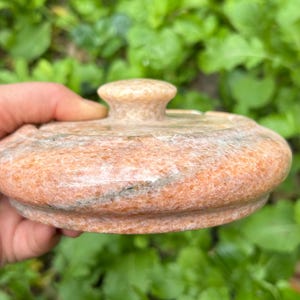 Peut inclure: Un couvercle rond en pierre de couleur pêche avec un petit bouton arrondi. Le couvercle a une surface texturée et un motif naturel subtil. L'arrière-plan est flou, montrant un feuillage vert.