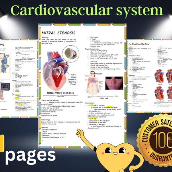 Nursing Cardiovascular Notes - Etsy