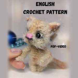 Pattern Cat amigyrymi crochet DIY tutorial in English