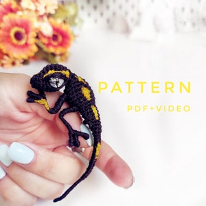 Pattern salamander crochet DIY tutorial in English
