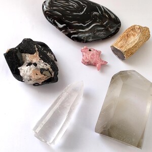 Konvolut: 7 Mineralien (Wasser-Achat, Bergkristall, Turmalin, Phantom-Bergkristall, Kyanit, versteinertes Holz)
