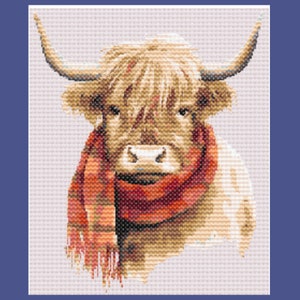 Puede incluir: Primer plano de una vaca Highland con pelo largo y peludo. La vaca lleva una bufanda de cuadros rojos y naranjas alrededor del cuello.