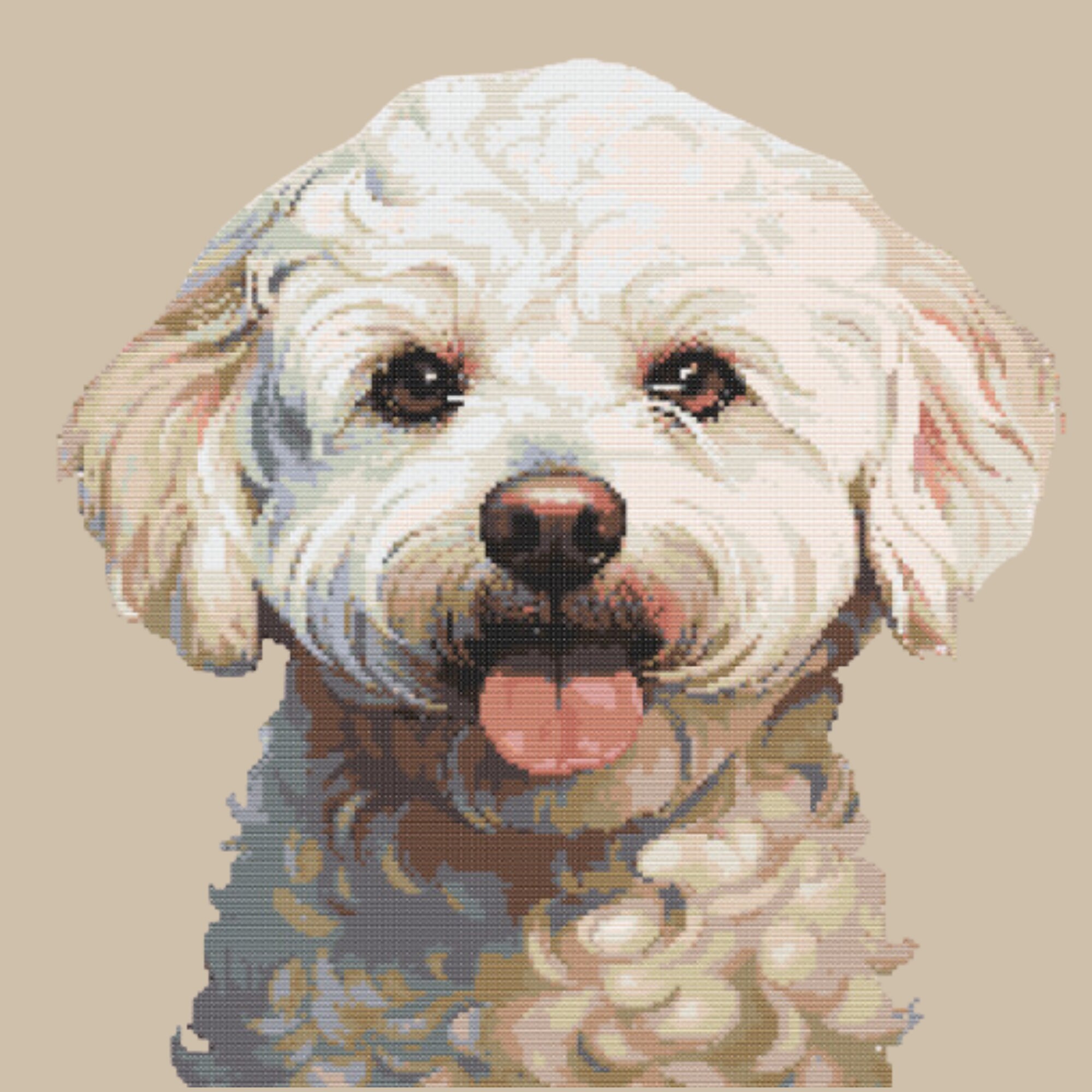 Bichon Frise Dog Print Pattern Women Long Robe