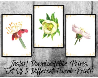 Floral Art Prints, Set Of 5 Different Flower Prints, Wall Decor, Instant Download, Digital Prints, 5 Different Sizes.