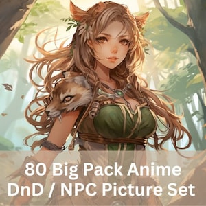 Anime DnD Big Pack meer dan 80 - Anime D&D-fotoset voor rollenspel, tafelblad, RPG
