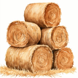 Hay Bale Clipart | 10 High Quality JPG&#39;s | Digital Download | Clipart Bundle | Mixed media | Farm Art | Farm Yard Hay | Field With Hay Bales