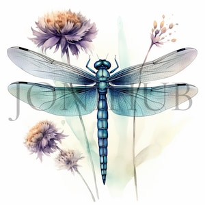 Dragonfly Clipart | 10 High Quality JPG&#39;s | Digital Download | Dragonfly | Clipart Pictures | Nursery Art | Mixed Media | Nature Insect Art