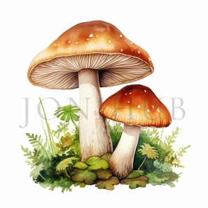 Mushroom Clipart | 10 High Quality JPGs | Digital Download | Mushroom Vector | Mushroom Art | Mushroom Illustration | Mushroom Printable