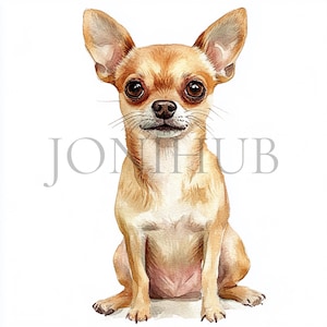 Chihuahua-clipart | 10 JPG's van hoge kwaliteit | Digitale download | Hondenkunst | Huisdier-clipart | Honden clipart | Digitaal knutselen | Schattige hondenclipart