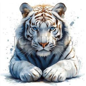 Clipart de tigre blanco / 10 archivos JPG de alta calidad / Descarga digital / Animal del bosque / Ilustración de la jungla / Arte imprimible / Arte de animales exóticos