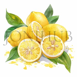 Lemons Clipart 10 High Quality Jpg's Digital Download Lemon Graphics ...