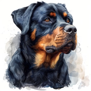 Watercolor Rottweiler Clipart | 10 High Quality JPGs | Digital download | Dog Clipart | Rottweiler Image | Rottweiler Puppy | Rottweiler Dog