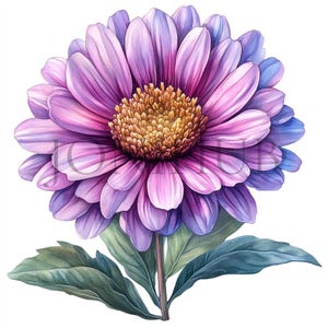 Varias imágenes prediseñadas de flores / 10 archivos JPG de alta calidad / Descarga digital / Colección botánica / Floral / Flores de jardín / Imágenes de flores y collage