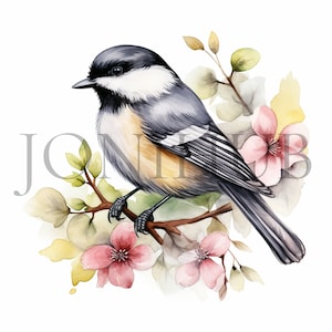 Clipart mésange | 10 fichiers JPG de haute qualité | Téléchargement numérique | Art d'oiseau mésange | Clipart oiseau hiver | Images de scrapbooking | Fabrication de cartes