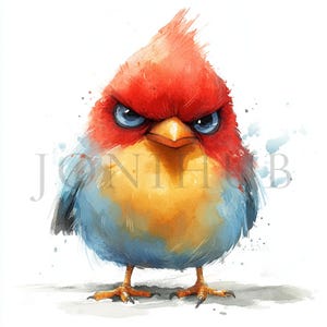 Grumpy Birds Clipart | 10 High Quality JPGs | Digital Download | Cute Fluffy Birds | Printable Watercolor Clipart | Digital Paper Craft