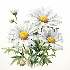 Bouquet de marguerites | 10 fichiers JPG de haute qualité | Téléchargement numérique | Créations numériques en papier | Journaux indésirables | Clipart marguerite | Clipart imprimable