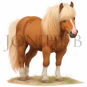 Pony Clipart | 10 hochwertige JPGs | Digitaler Download | Pferd Grafik | Tier Designs | Digitale Drucke | Papiermodelle | Niedliches Pony Art