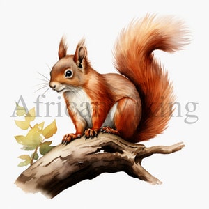 Clipart écureuil | 10 fichiers JPG de haute qualité | Téléchargement numérique | Écureuil mignon | Écureuil | Clipart animaux | Animaux des bois | Images d'écureuil