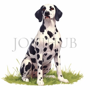 Imágenes prediseñadas dálmatas / 10 JPG de alta calidad / Descarga digital / Imágenes prediseñadas de perros / Ilustraciones dálmatas / Imágenes prediseñadas de animales / Elaboración digital