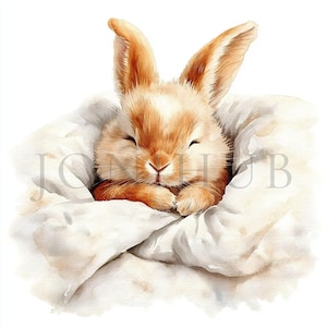 Fluffy Bunny Sleeping Clipart | 10 High Quality JPGs | Digital Download | Paper Craft | Junk Journal | Bunny In Bed | Watercolor Clipart