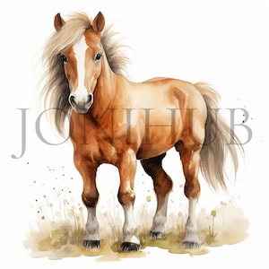 Pony Clipart | 10 hochwertige JPGs | Digitaler Download | Niedliches Pony Kunst | Pferd Grafik | Tier Designs | Digitale Drucke | Papierkunst