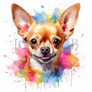 Chihuahua-clipart | 10 JPG's van hoge kwaliteit | Digitale download | Schattige hond-clipart | Hondenkunst | Huisdier-clipart | Honden clipart | Digitaal knutselen