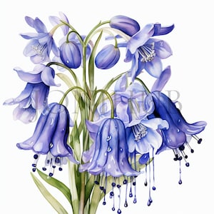 Bluebells Clipart Set | 10 High Quality JPG&#39;s | Digital Download | Bluebell Art | Floral Illustrations | Botanical Graphics | Scrapbooking