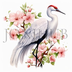 Japanese Crane Clipart | 10 High Quality JPG&#39;s | Digital Download | Elegant Illustrations | Paper Craft |  Nursery Art | Crane Bird Art