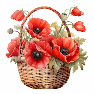 Cesta de papoulas clipart | 10 JPGs de alta qualidade | Download Digital | Imagens de álbum de recortes | Cesta Floral Clipart | Gráficos de flores de papoula