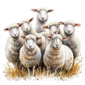 Clipart di pecore da fattoria / 10 JPG di alta qualità / Download digitale / Clipart di pecore carine / Tecnica mista / Illustrazione di pecore / Arte di animali da fattoria