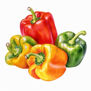 Clipart de poivrons | 10 fichiers JPG de haute qualité | téléchargement numérique | Clipart végétarien | Clipart de légumes, clipart d'aliments biologiques, clipart de poivrons