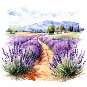 Imágenes prediseñadas de campos de lavanda / 10 JPG de alta calidad / Descarga digital / Imágenes prediseñadas de Provenza Francia / Ilustración de la naturaleza / Imágenes de álbum de recortes