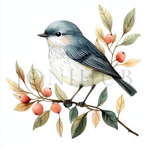 Clipart di uccelli scandinavi / 10 JPG di alta qualità / Download digitale / Uccello floreale / Clipart acquerello / Artigianato di carta digitale / Diario spazzatura