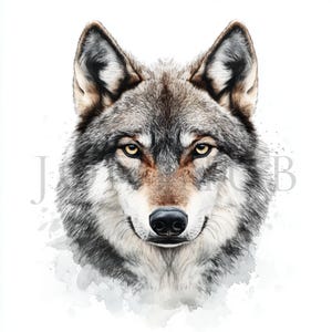 Cane lupo cecoslovacco Clipart / 10 JPG di alta qualità / Download digitale / Planner digitale / Cane lupo acquerello / Creazione di biglietti, diario