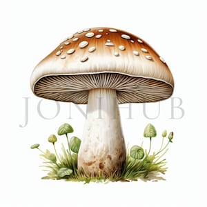 Mushroom Clipart | 10 High Quality JPGs | Digital Download | Nursery Art | Card Making | Mushroom Clipart | Digital Paper Craft | Clip Art