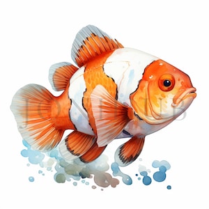 Clownfish Clipart | 10 High Quality JPGs | Digital Download | Nursery Art | Card Making | Animal Clipart | Digital Paper Craft | Nursery Art