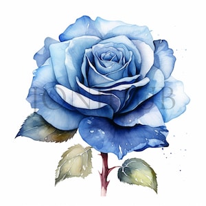 Blue Rose Clipart | 5 High Quality JPGs | Digital Download | Botanical Art | Card Making | Digital Paper Craft | Scrapbooking | Nursery Art