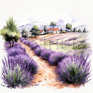 Imágenes prediseñadas de campos de lavanda / 10 JPG de alta calidad / Descarga digital / Imágenes de álbum de recortes / Imágenes prediseñadas de Provenza Francia / Ilustración de la naturaleza