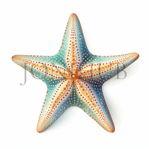Starfish Clipart | 10 High Quality JPG&#39;s | Digital Download | Printable Artwork | Beach Art | Starfish Illustrations | Watercolor Painting