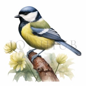 Clipart Mésange charbonnière | 10 fichiers JPG de haute qualité | Téléchargement numérique | Fabrication de cartes | Clipart oiseau mignon | Créations numériques en papier | Clipart | Art pour chambre d'enfant