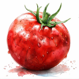 aquarelle tomate Clipart | 10 fichiers JPG de haute qualité | téléchargement numérique | Fabrication de cartes | Clipart tomate | Illustration de la tomate | Clipart végétarien