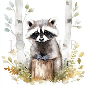 Raccoon in Forest Clipart | 10 High Quality JPGs | Digital Download | Digital Paper Craft | Junk Journal | Printable Watercolor Clipart