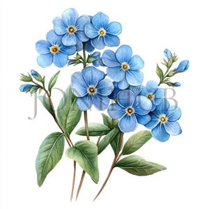 Forget me nots Clipart | 10 fichiers JPG de haute qualité | Téléchargement numérique | Art floral | Images de scrapbooking | Clipart numérique | Fleurs | Art de la nature