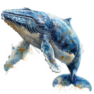 Wal Clipart | 10 hochwertige JPGs | Digitaler Download | Wal Zeichnung | Blauwal | Wal | Meer Kreatur Clipart | Meerestiere | Clip-Kunst