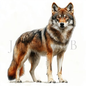 Tschechoslovakischer Wolf Hund Clipart | 10 hochwertige JPGs | Digitaler Download | Kartengestaltung, Journaling | Digitaler Planer, Aquarell Wolf Hund