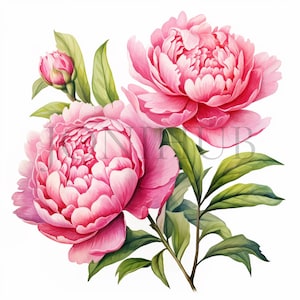 Roses Wreath Clipart | 10 High Quality JPG&#39;s | Digital Download | Watercolor Art | Clipart Pack | Floral Art | Rose Clipart | Flower Wreath